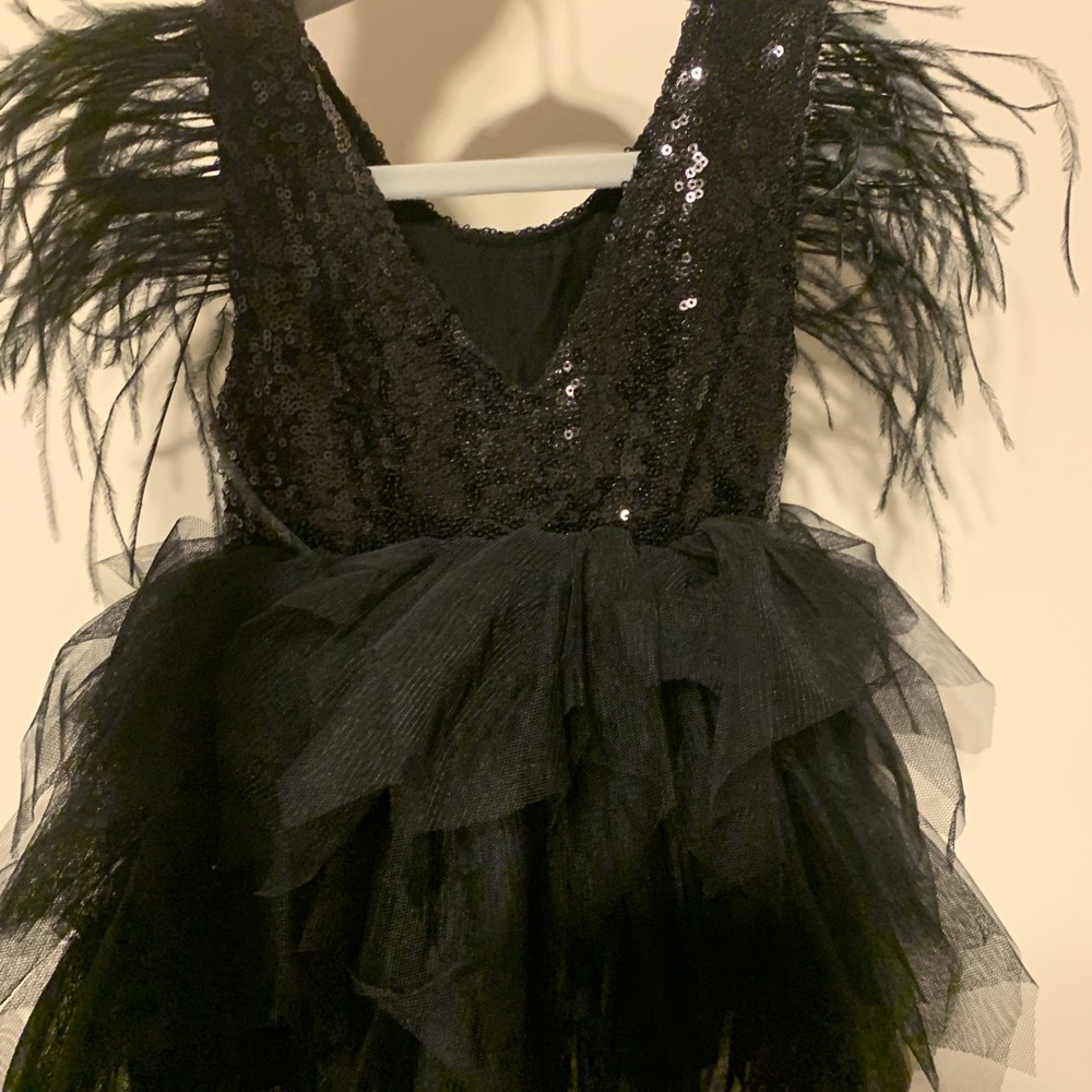 Beautiful sequin tulle dress feathers